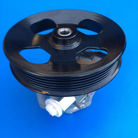 Hyundai Tucson / Kia Sportage 05-10 Power Steering Pump New!! HY002 - SydneySpareParts